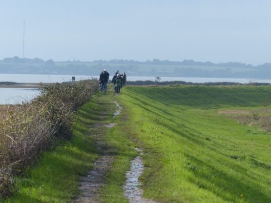 Group of people walking on river bank