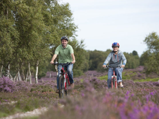 Couple cycling in the Heathland