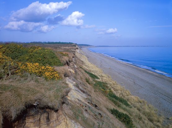 Dunwich Cliffs, view north from cliff top