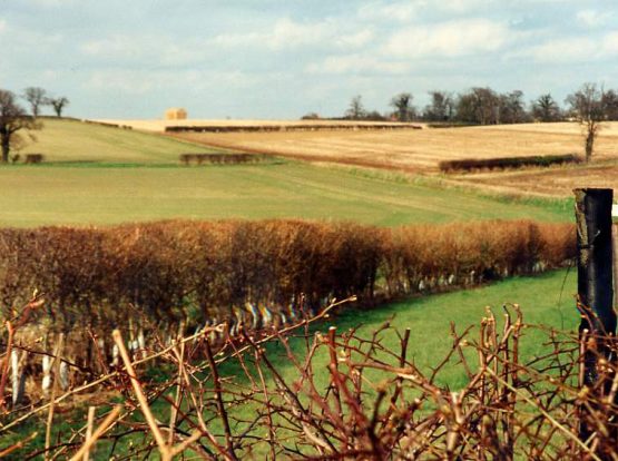 View of fields and hedges