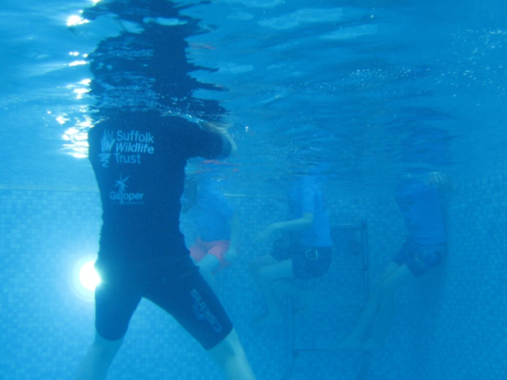Underwater view of group of people