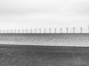 Wind farm off the coast